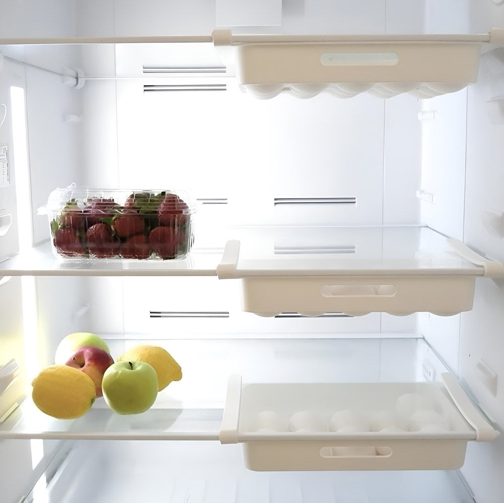15-Piece Plastic Egg Organizer | Full House Lebanon