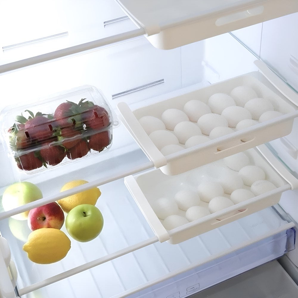 15-Piece Plastic Egg Organizer | Full House Lebanon