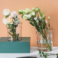 Acrylic Bin - Large | Full House Lebanon