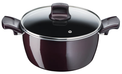 TEFAL Cooking Pots - 24 cm | Full House Lebanon