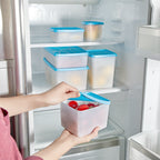 No Frost Storage Box Set (6 Pcs) - Grey | Full House Lebanon