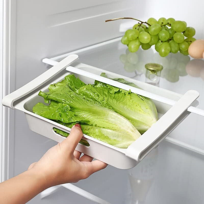 15-Piece Plastic Egg Organizer | Full House Lebanon