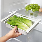 15-Piece Plastic Egg Organizer | Full House Lebanon