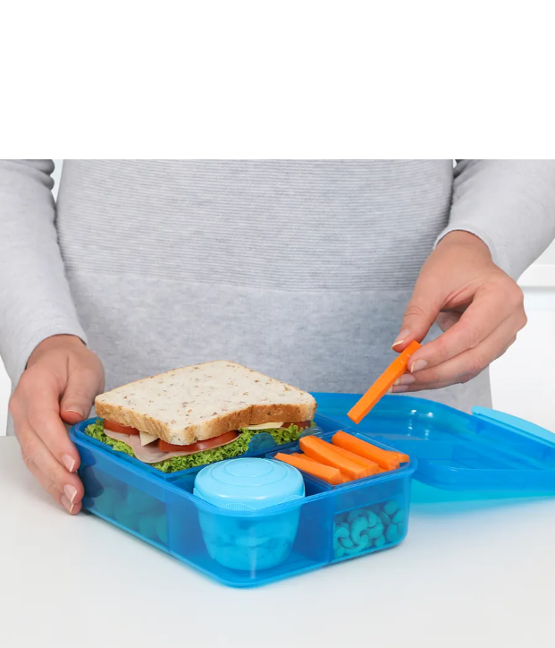Bento Lunch Box with Yogurt Pot | Full House Lebanon