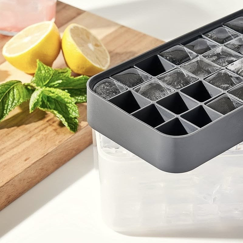 Ice Cube Tray with Storage  Box | Full House Lebanon