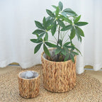 Woven Rattan Plant Basket Set (4 Pcs) | Full House Lebanon