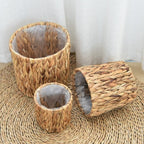 Woven Rattan Plant Basket Set (4 Pcs) | Full House Lebanon