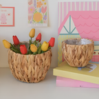Gourd Grass Plant Holder Set (3 Pcs) | Full House Lebanon