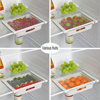 15-Piece Plastic Egg Organizer | Full House Lebanon