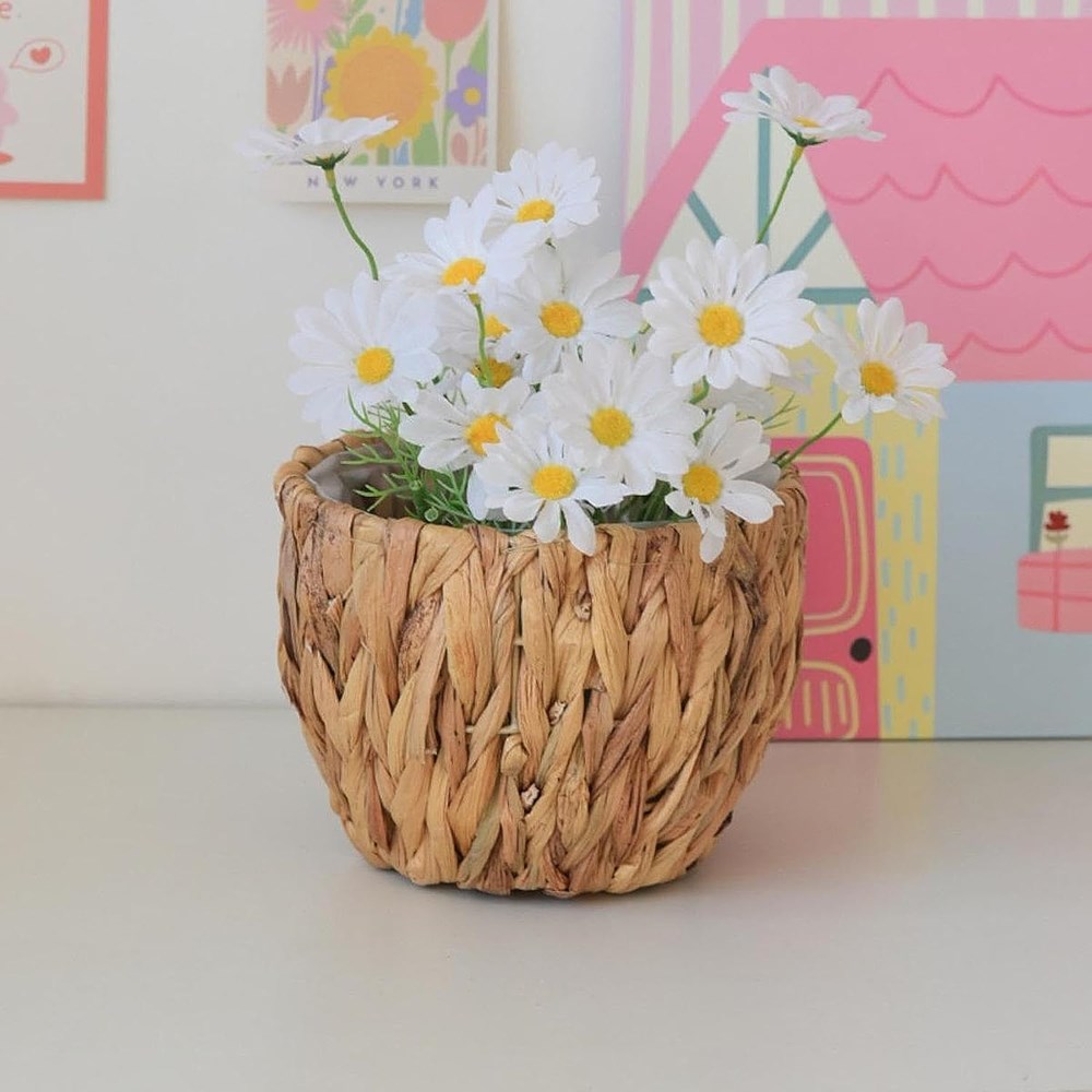 Gourd Grass Plant Holder Set (3 Pcs) | Full House Lebanon