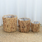 Woven Rattan Plant Basket Set (4 Pcs) | Full House Lebanon