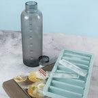 9-Strip Silicone Ice Mold