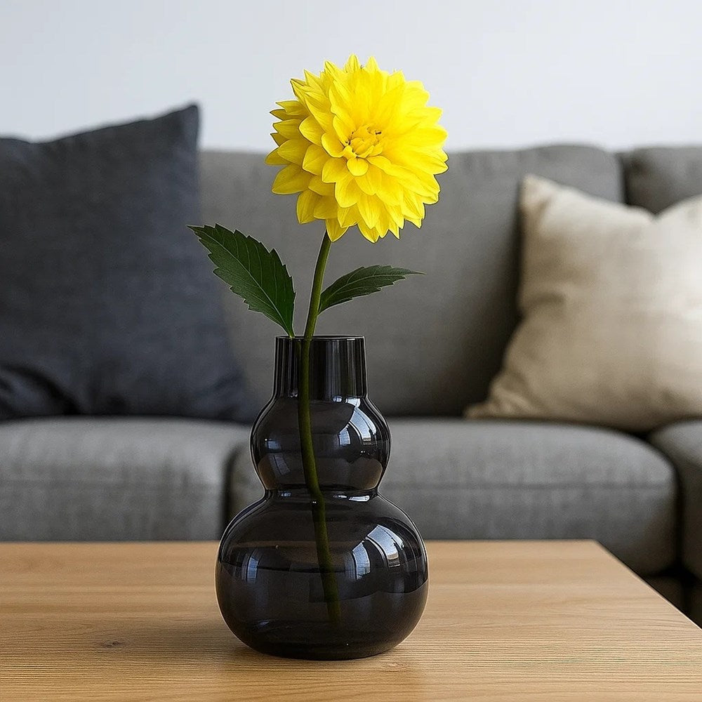 Classy Plant Glass Vase | Full House Lebanon