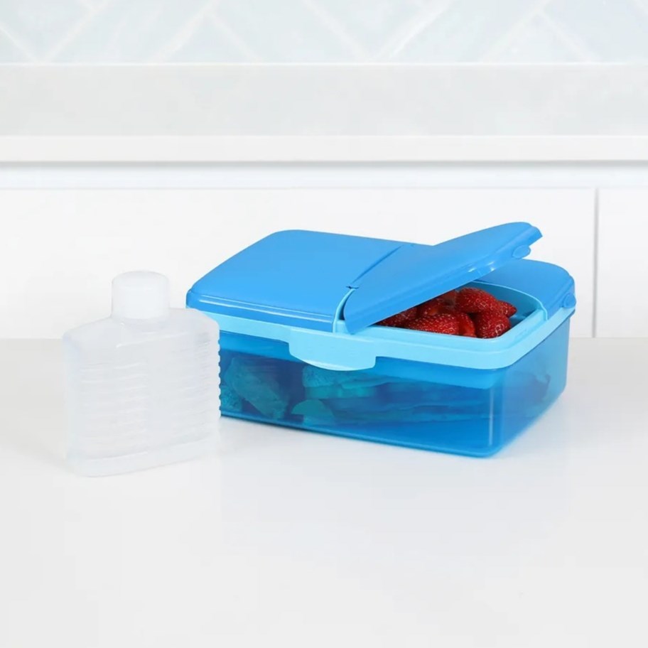 Slimline QUADDIE Lunch Box - Fuschia | Full House Lebanon