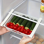 15-Piece Plastic Egg Organizer | Full House Lebanon