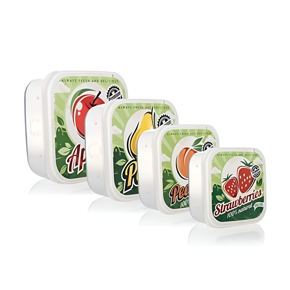 Kids Food Container Set (4 Pcs) - Princess | Full House Lebanon