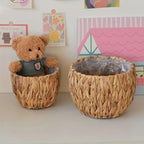 Gourd Grass Plant Holder Set (3 Pcs) | Full House Lebanon