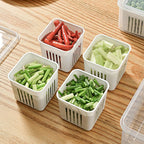 Fresh Keeping Box | Full House Lebanon