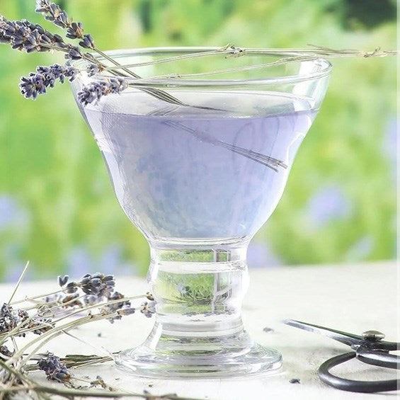 Lav Orion Dessert Bowl Set (6 Pcs) | Full House Lebanon