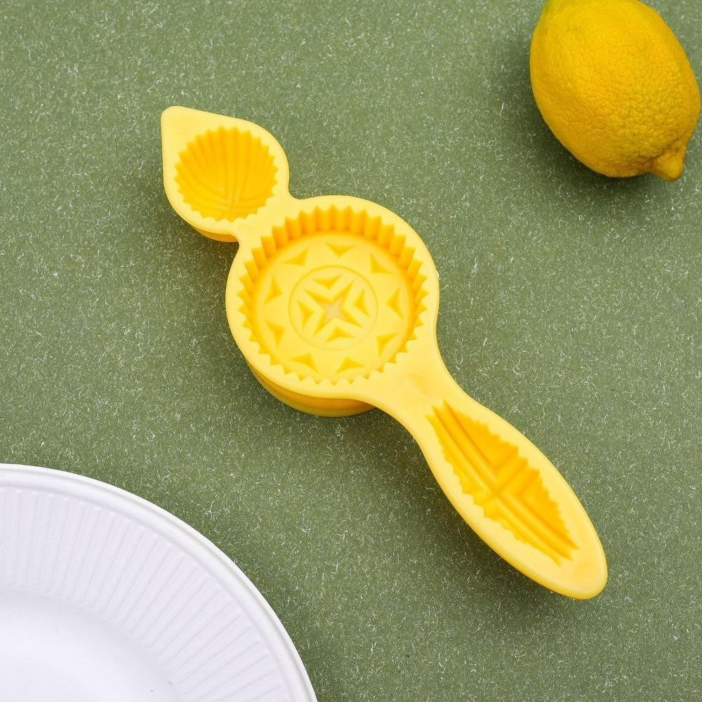 Maamoul Plastic Mold - Design A | Full House Lebanon